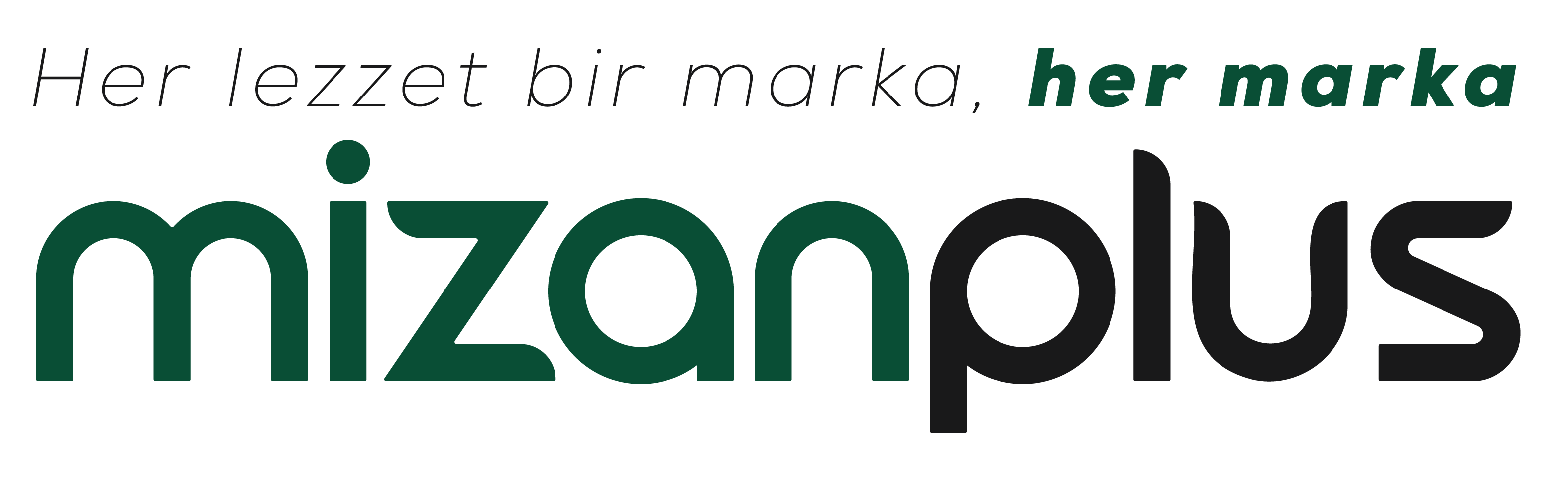 Mizanplus